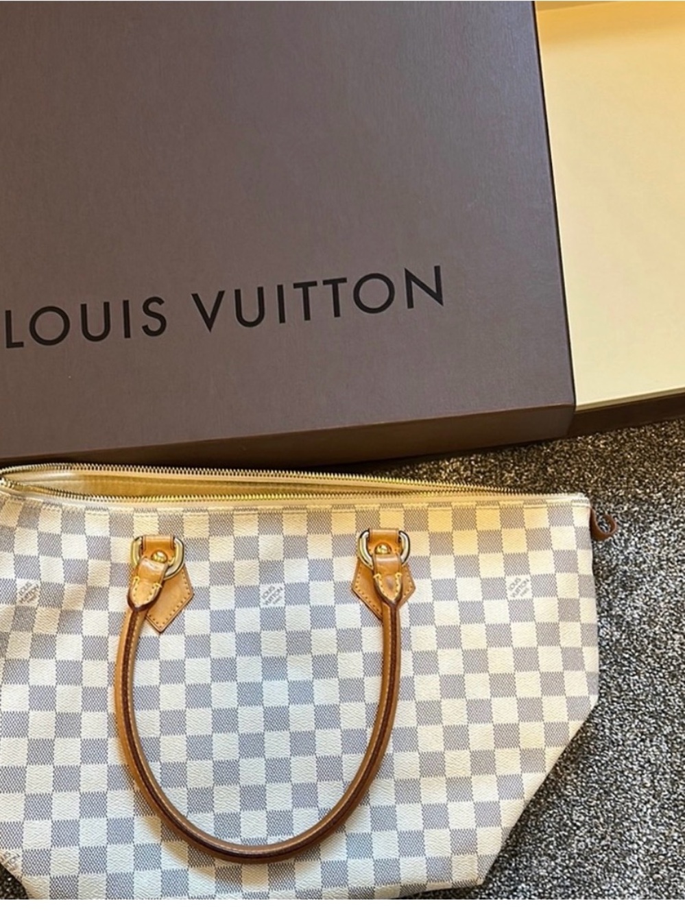 Louis Vuitton Damier Saleya GM
